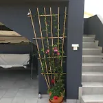 Roko