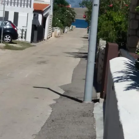 Roko * ויר
