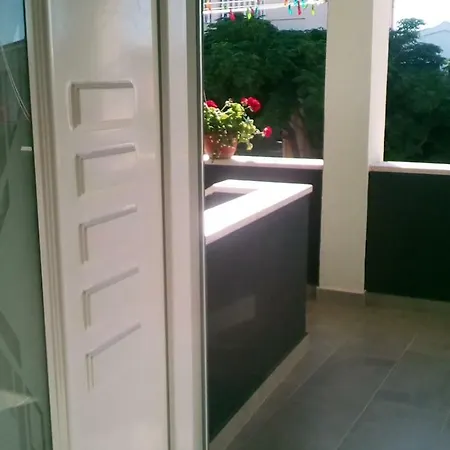 Roko * ויר