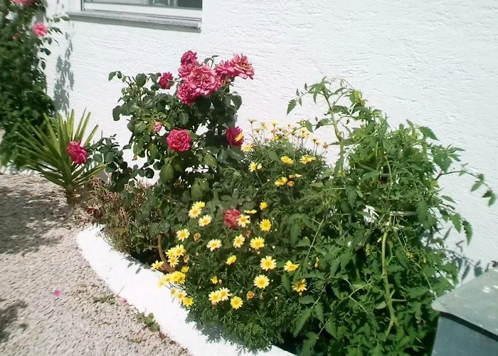 Διαμέρισμα Roko *