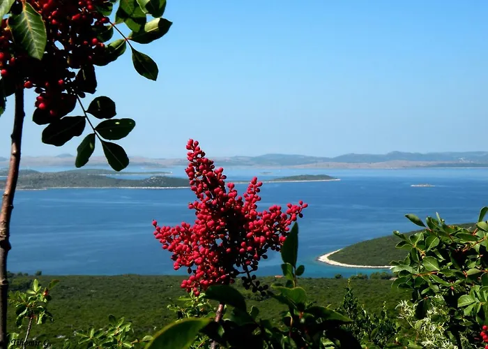 Roko Διαμέρισμα